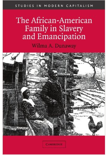 The African American Family in Slavery and Emancipation